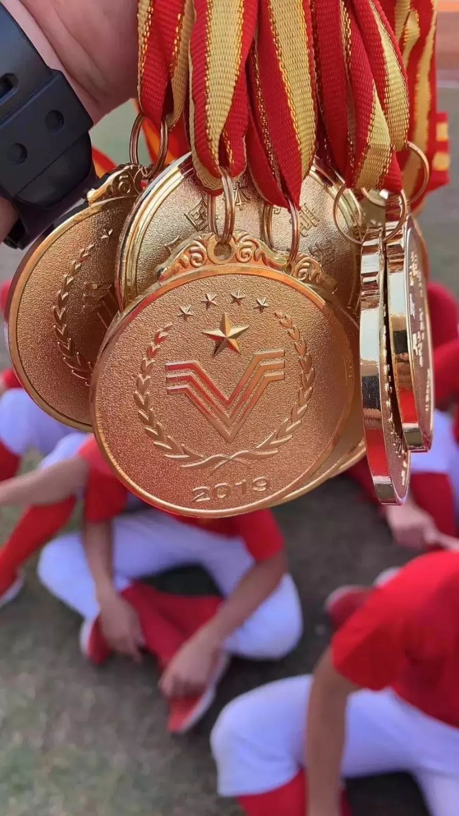 棒球赛季收官,冠军榜单揭晓 棒球赛季收官,冠军榜单揭晓