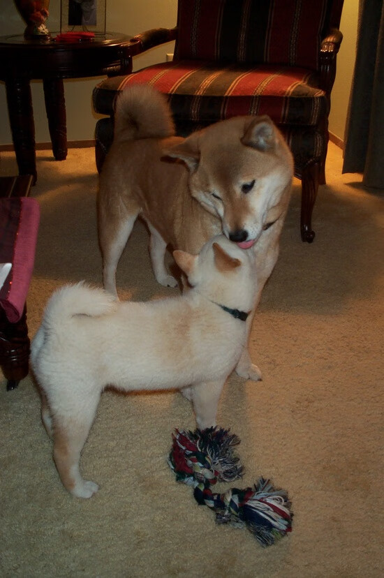 时代的岔路口，当恩比德无双模式遇见东欧组合魔法